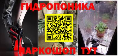 индика Тула