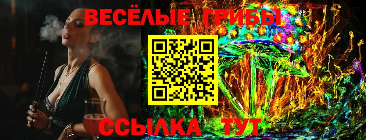 Галлюциногенные грибы Psilocybine cubensis Ногинск