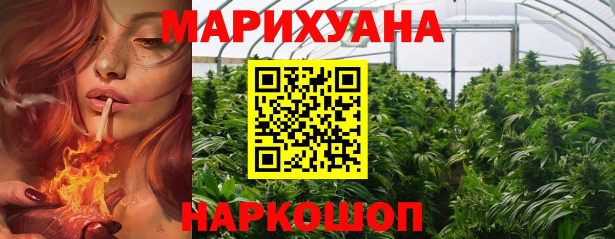 Ногинск  Марихуана план  Вход с VPN  Бошки марихуана White Widow  Конопля AK-47 